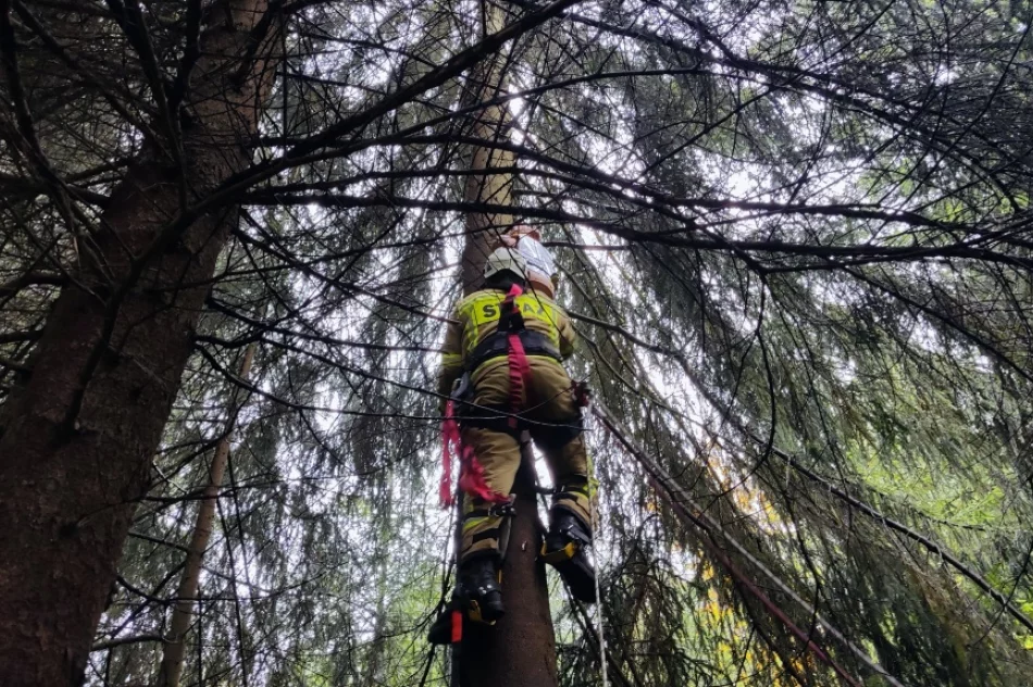 Druhowie doskonalili swoje umiejętności - zdjęcie 14