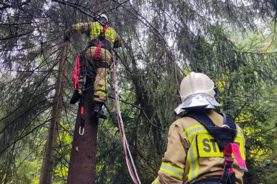 Druhowie doskonalili swoje umiejętności - zdjęcie 15