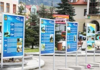 Limanowa gotowa na Światowe Dni Młodzieży - zdjęcie główne