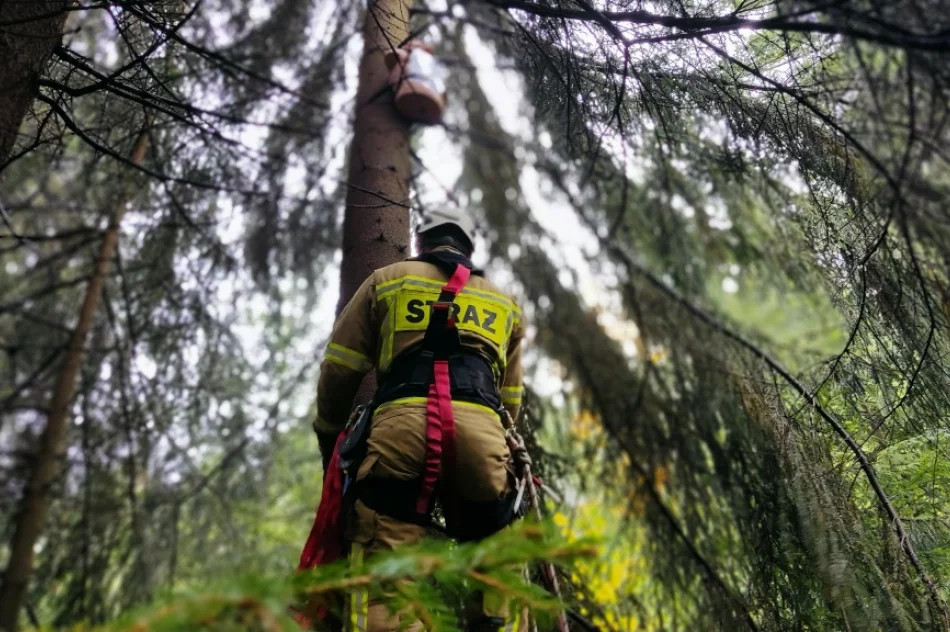Druhowie doskonalili swoje umiejętności - zdjęcie 16