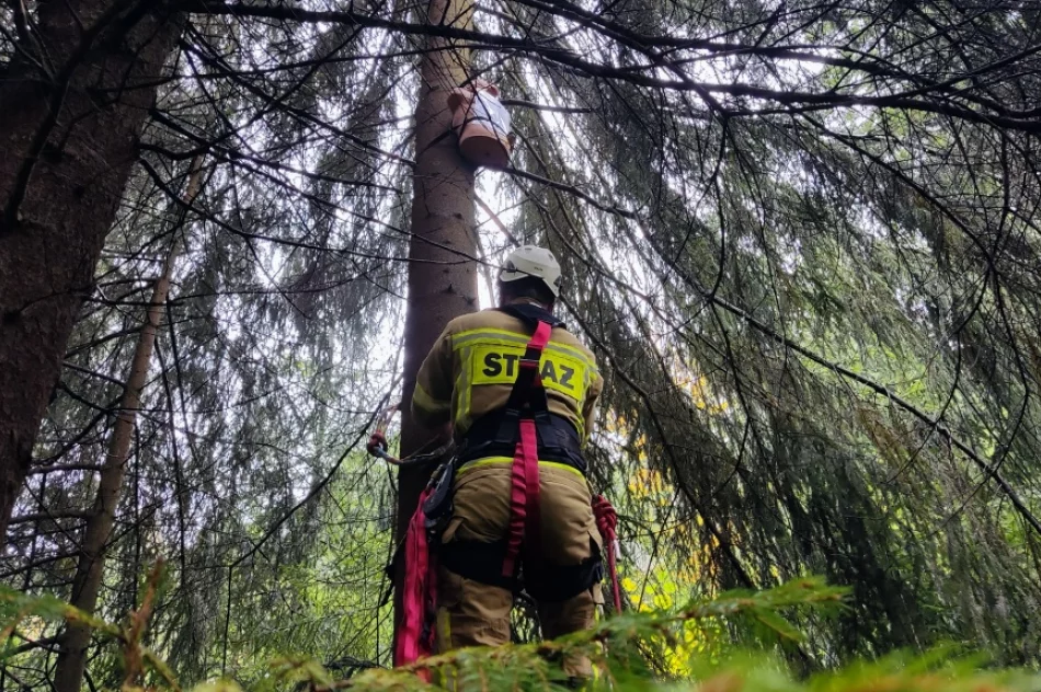 Druhowie doskonalili swoje umiejętności - zdjęcie 17
