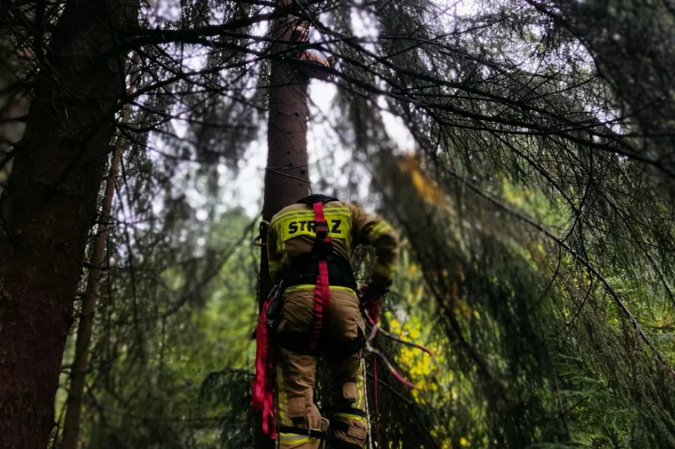 Druhowie doskonalili swoje umiejętności - zdjęcie 18