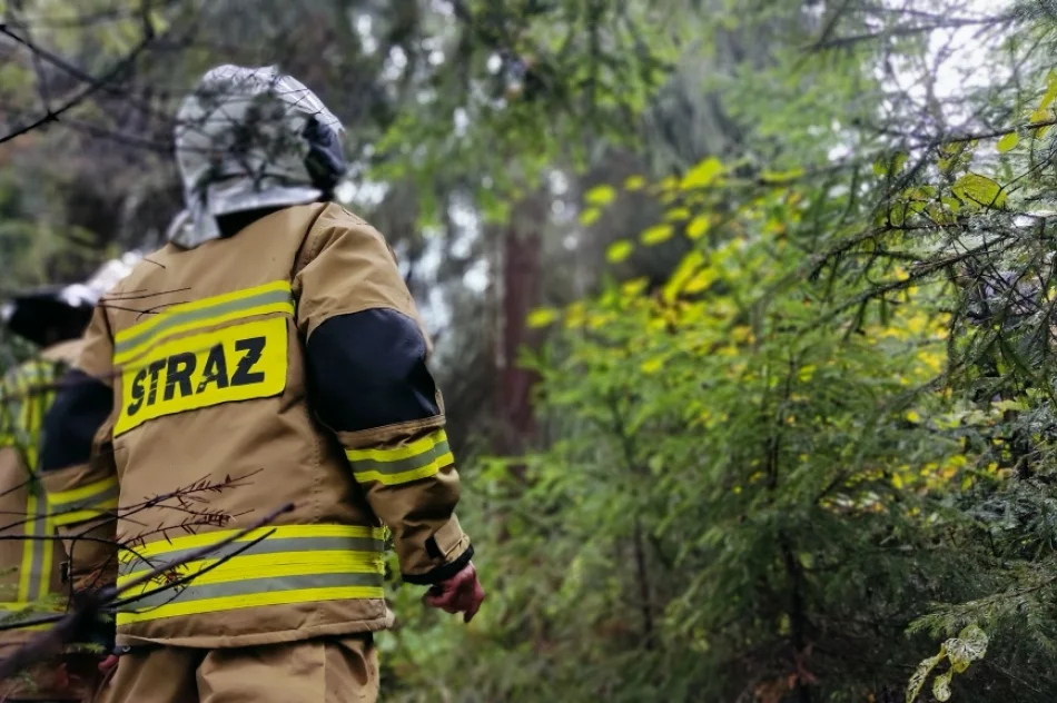 Druhowie doskonalili swoje umiejętności - zdjęcie 19