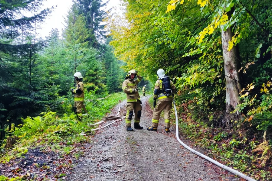 Druhowie doskonalili swoje umiejętności - zdjęcie 20