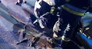 Czołowe zderzenie dwóch pojazdów - zdjęcie 3