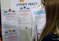 Kolejny wzrost bezrobocia - zdjęcie główne