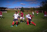 Krokus rozkwita na jesień - zdjęcie główne