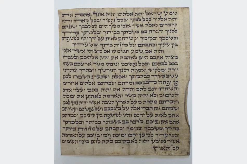 W muzeum odbył się wernisaż wystawy prac po warsztatach kaligrafii  - zdjęcie 9