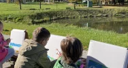 Przedszkolaki z Miejskiego Przedszkola nr 1 wzięły udział w „Jesiennym plenerze malarskim” - zdjęcie 5