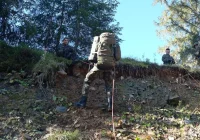 Uczyli się, jak przetrwać - zdjęcie główne