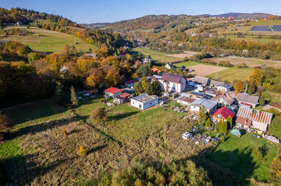 Nielegalne mury... pną się do góry - zdjęcie 5