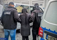 Kolejne zatrzymania ws. oszustw w klubach go-go - zdjęcie główne