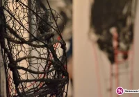 „Nie ma granic w rysunku” - zdjęcie główne