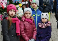 XXIX Konkurs Palm Wielkanocnych - zdjęcie główne