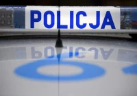 Kosz odpadł od drabiny wozu. Nie żyje strażak - zdjęcie główne