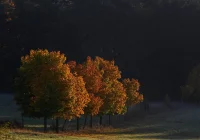 ​Synoptyk IMGW: kolejne dni z wyraźnym ociepleniem - zdjęcie główne