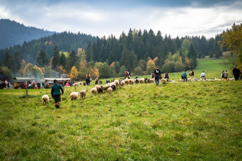 Odbył się jesienny redyk - zdjęcie 5