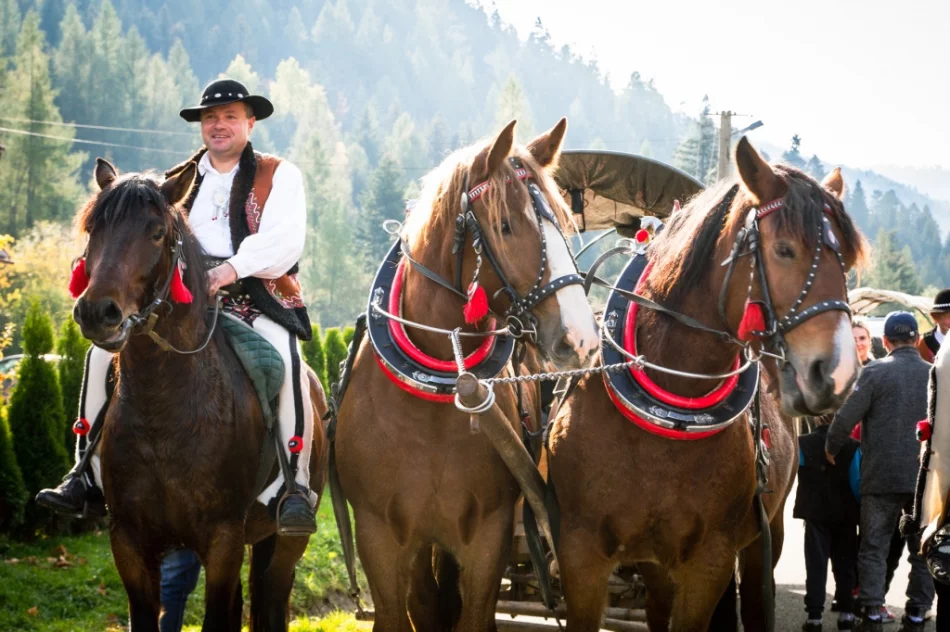 Odbył się jesienny redyk - zdjęcie 11