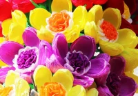 W najbliższą niedzielę XXIX Konkurs Palm Wielkanocnych - zdjęcie główne