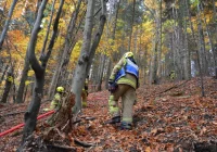 Druhowie doskonalili swoje umiejętności  - zdjęcie główne