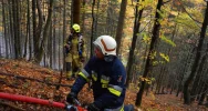 Druhowie doskonalili swoje umiejętności  - zdjęcie 2