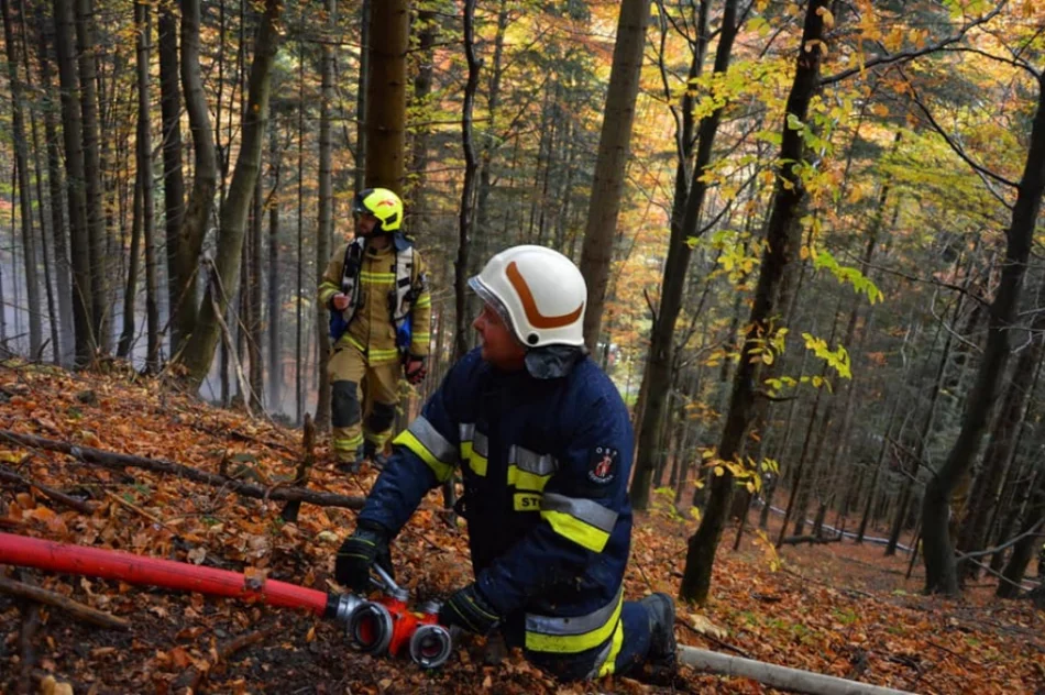 Druhowie doskonalili swoje umiejętności  - zdjęcie 2