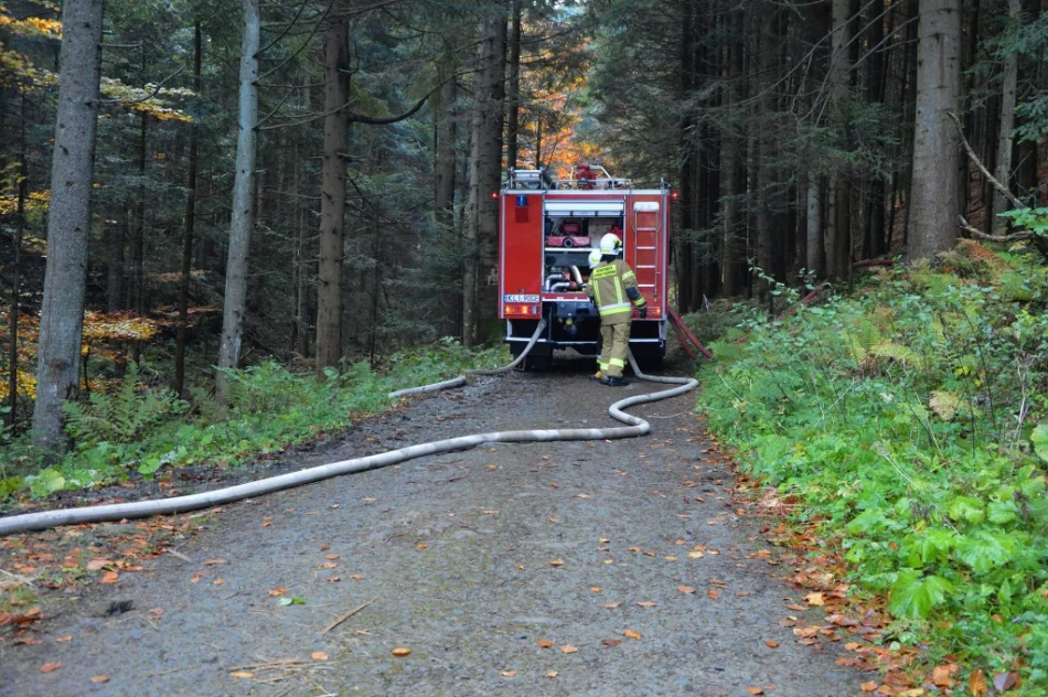 Druhowie doskonalili swoje umiejętności  - zdjęcie 3