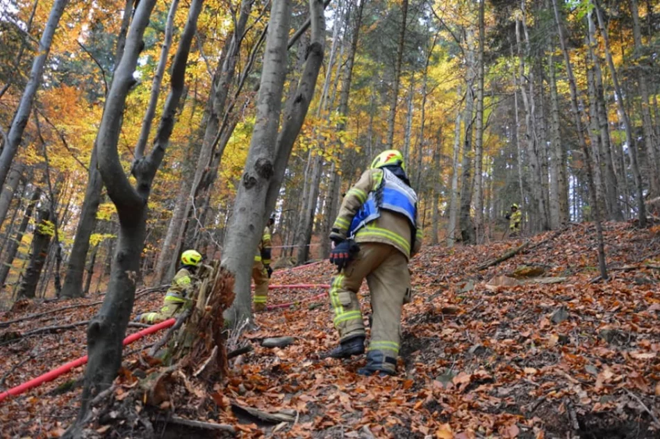 Druhowie doskonalili swoje umiejętności  - zdjęcie 4