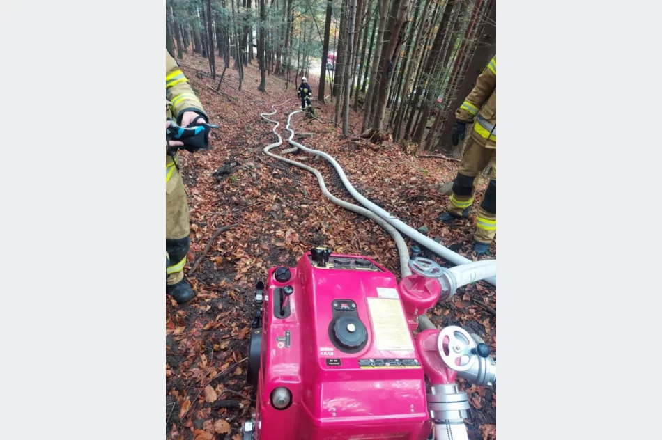 Druhowie doskonalili swoje umiejętności  - zdjęcie 5