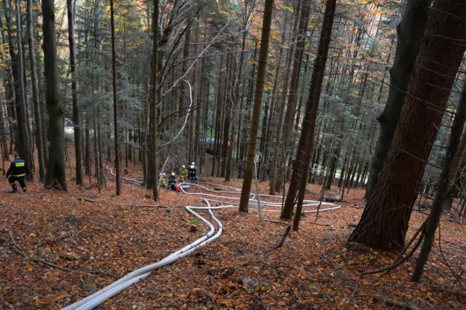 Druhowie doskonalili swoje umiejętności  - zdjęcie 6