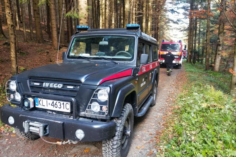 Druhowie doskonalili swoje umiejętności  - zdjęcie 7