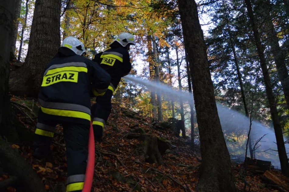 Druhowie doskonalili swoje umiejętności  - zdjęcie 9