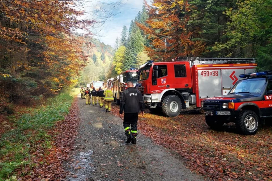 Druhowie doskonalili swoje umiejętności  - zdjęcie 10