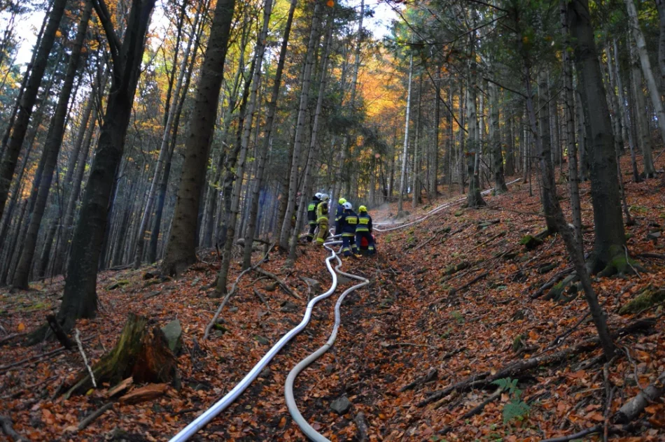 Druhowie doskonalili swoje umiejętności  - zdjęcie 13