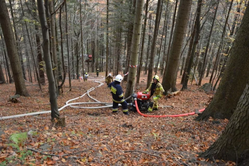 Druhowie doskonalili swoje umiejętności  - zdjęcie 14
