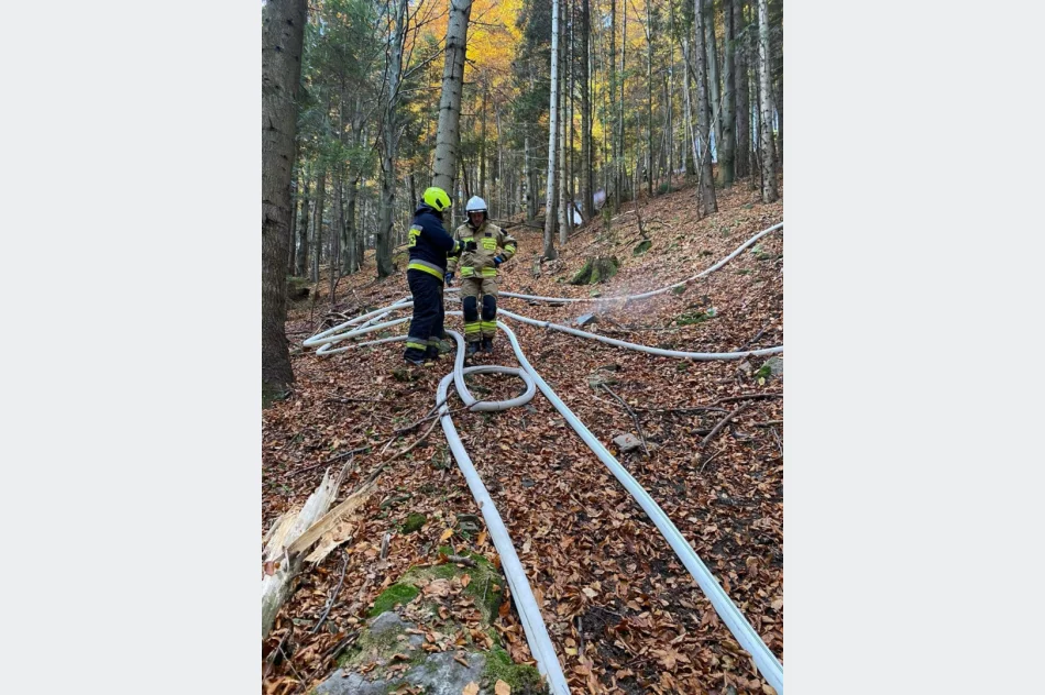 Druhowie doskonalili swoje umiejętności  - zdjęcie 15