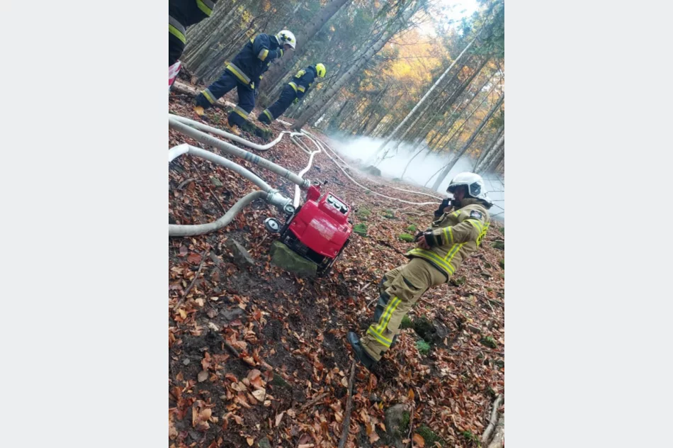 Druhowie doskonalili swoje umiejętności  - zdjęcie 16