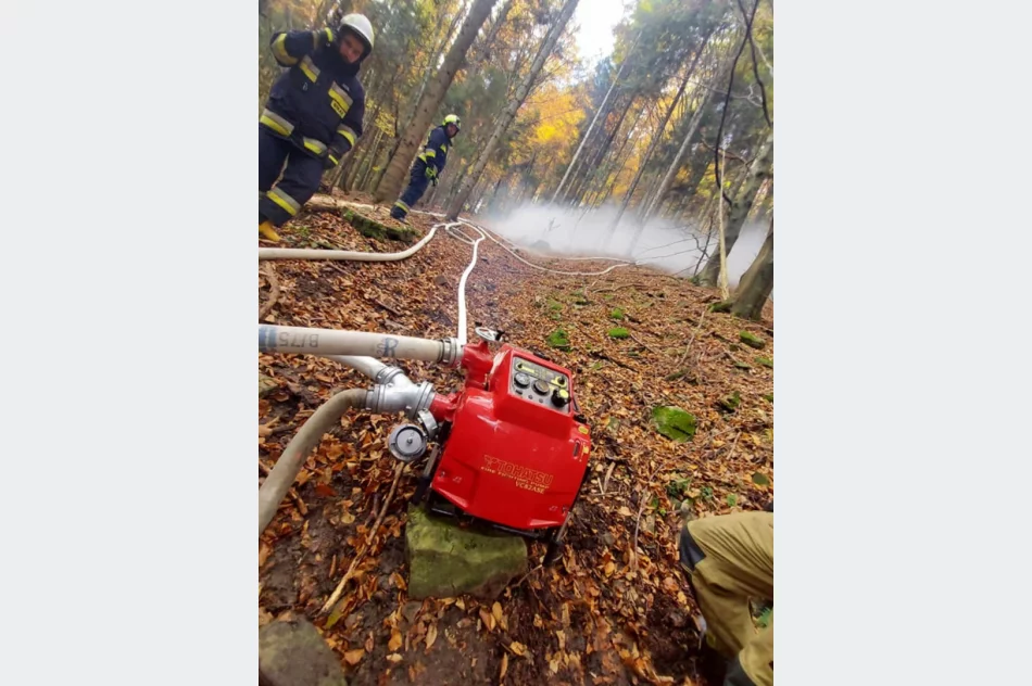 Druhowie doskonalili swoje umiejętności  - zdjęcie 17