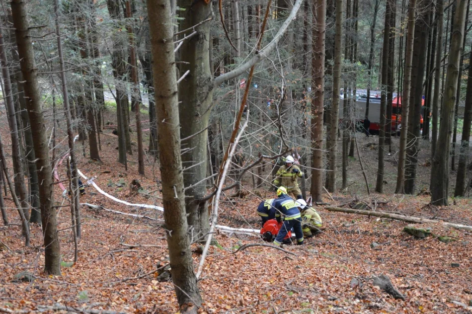 Druhowie doskonalili swoje umiejętności  - zdjęcie 19