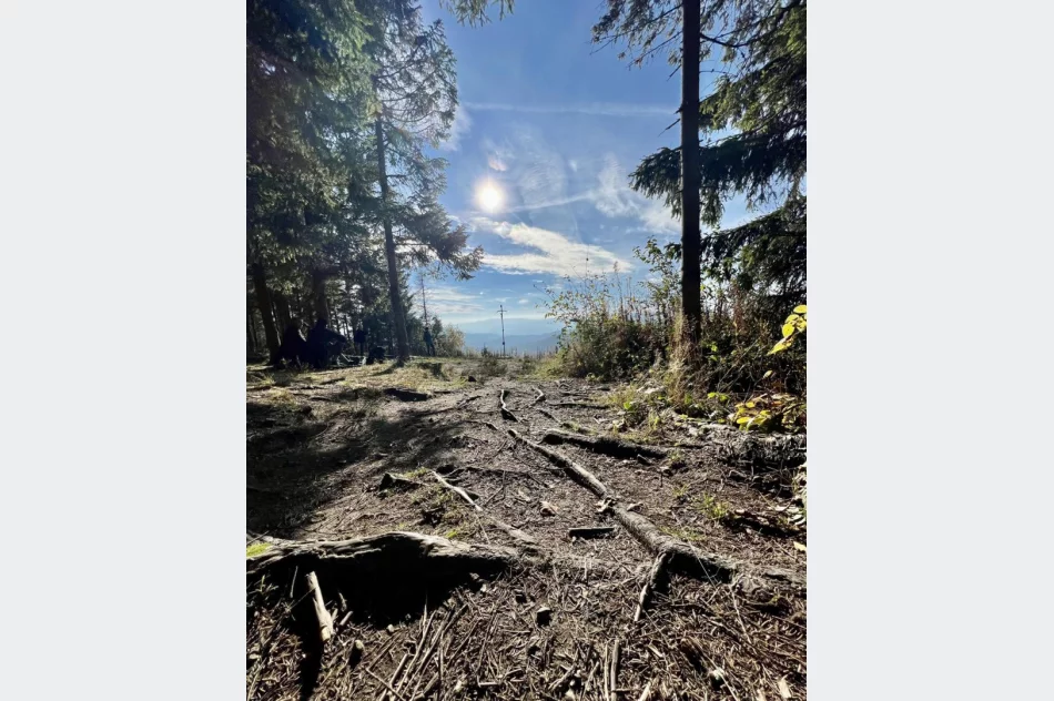 Zobacz złotą jesień z nowej wieży - zdjęcie 3