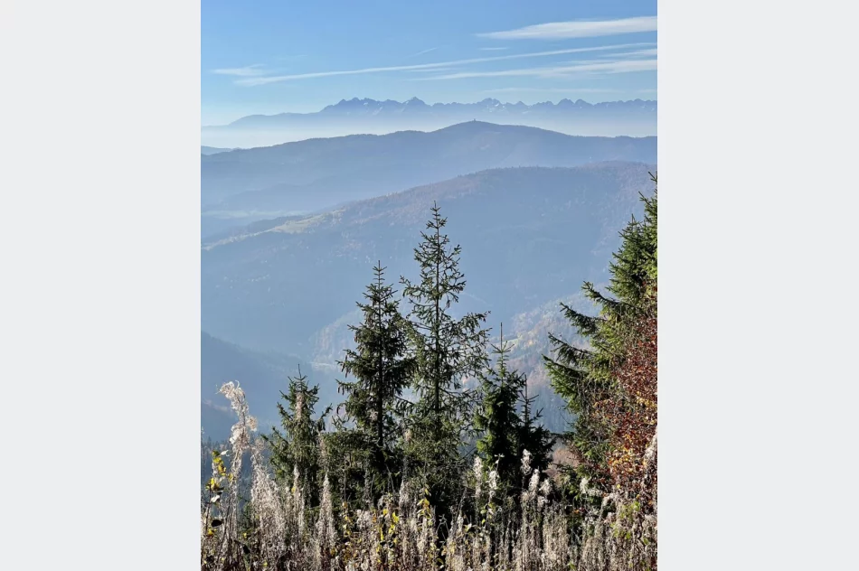 Zobacz złotą jesień z nowej wieży - zdjęcie 4