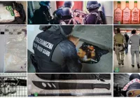 Amfetamina zamiast śliwowicy. Przemytnicy za kratami - zdjęcie główne