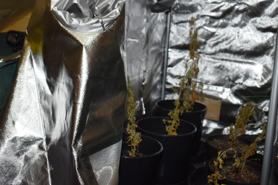 Narkotykowe zatrzymanie. 25-latkowi grożą 3 lata - zdjęcie 2