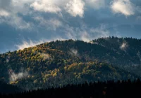 Prognoza pogody na kolejne 7 dni - zdjęcie główne