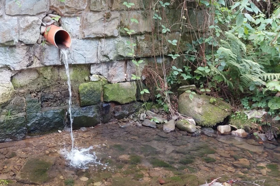 Zrzut ścieków do gorczańskiego potoku - zdjęcie 2