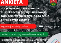ANKIETA - ZAPOTRZEBOWANIE NA WĘGIEL - zdjęcie główne