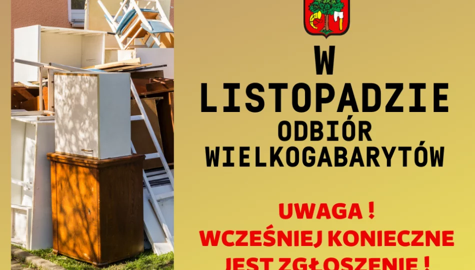 W listopadzie odbiór wielkogabarytów – wcześniej konieczne jest zgłoszenie odpadów do odbioru - zdjęcie 1