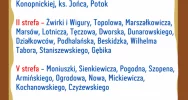 Odbiór "gabarytów" w mieście - trzeba zgłosić odpady - zdjęcie 2