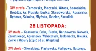Odbiór "gabarytów" w mieście - trzeba zgłosić odpady - zdjęcie 5