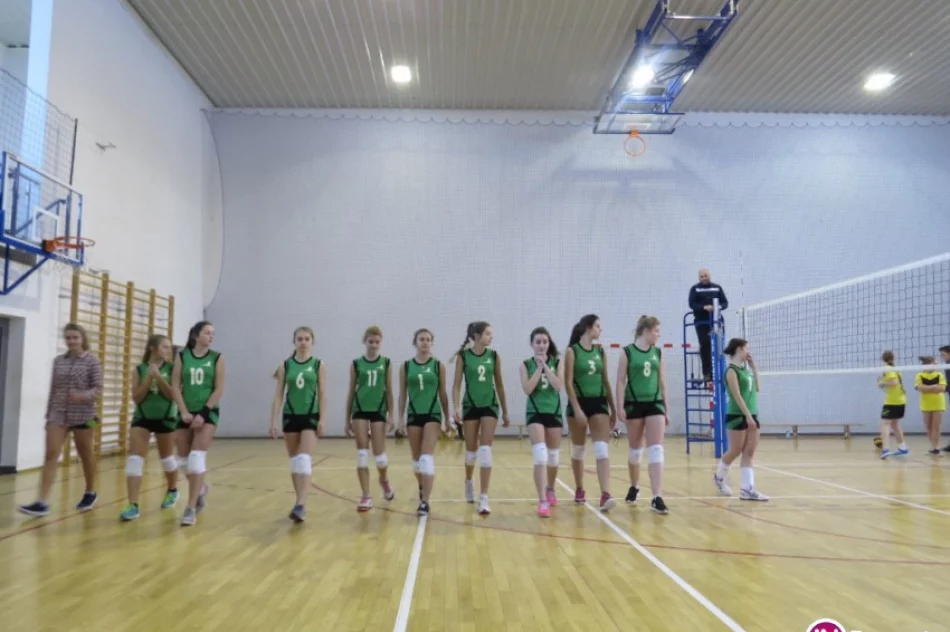 Kolejny sukces Gimnazjalistek z Pisarzowej - zdjęcie 2